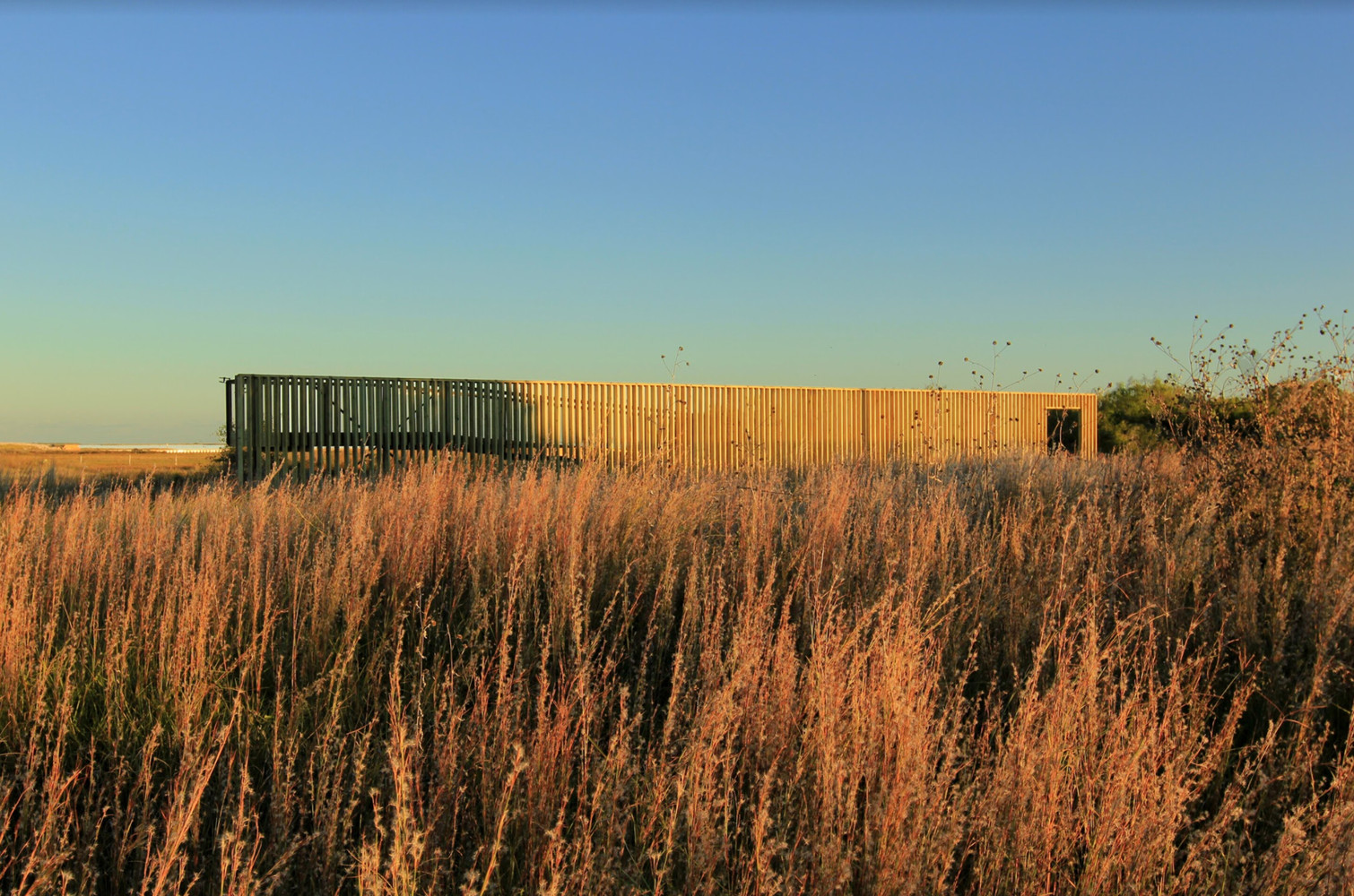 RISE Wetland Platform